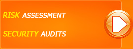 Security audit Risk assessment